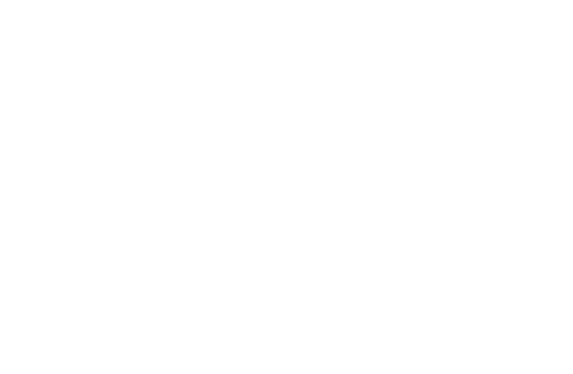 Zerlin